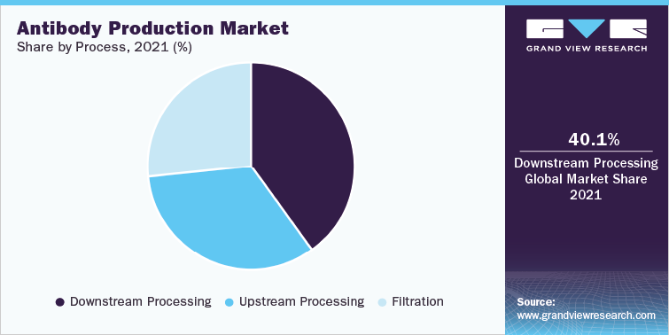 Antibody Production Market Share by Process, 2021 (%)