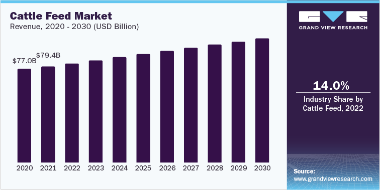 Cattle Feed Market Revenue, 2020 - 2030 (USD Billion)