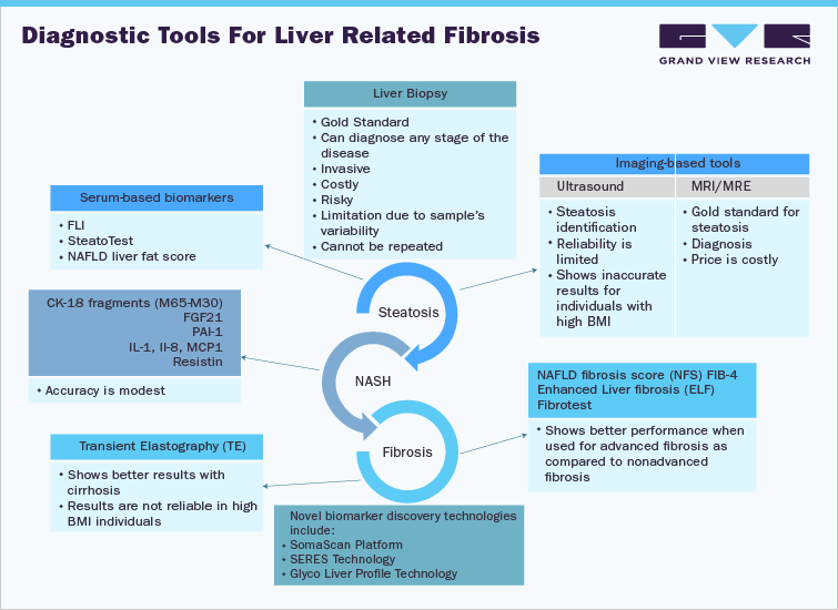 Diagnostic Tools For Liver Related Fibrosis