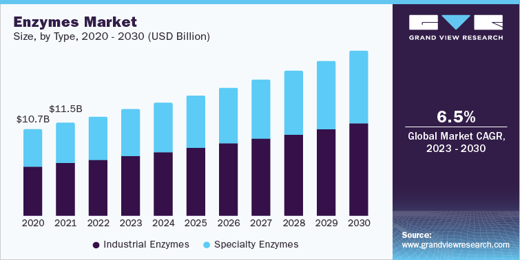 Enzymes Industry