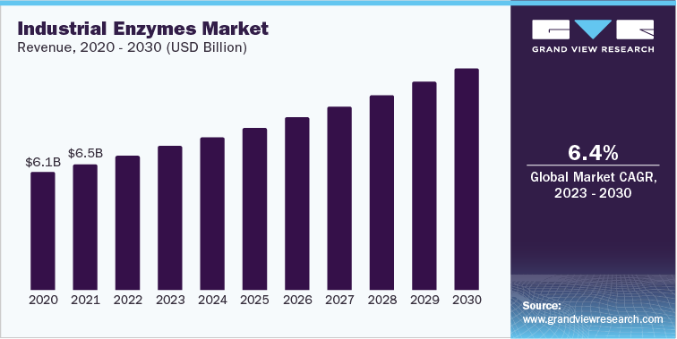 Industrial Enzymes Market Revenue, 2020 - 2030 (USD Billion)