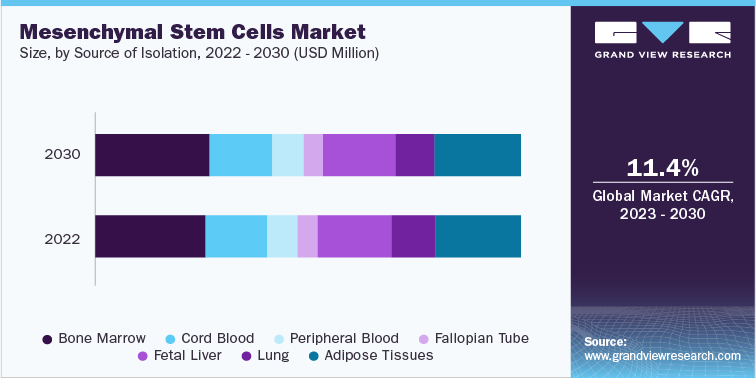 Mesenchymal Stem Cells Market Size, by Source of Isolation, 2022 - 2030 (USD Million)