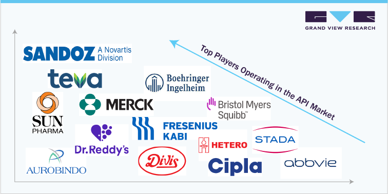 Top Players Operating in the API Market, 2021
